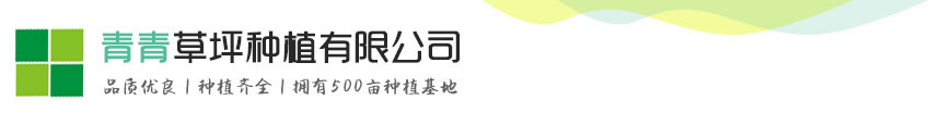 尊龙新版人生就是博